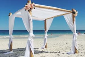 Beach Wedding Ceremonies